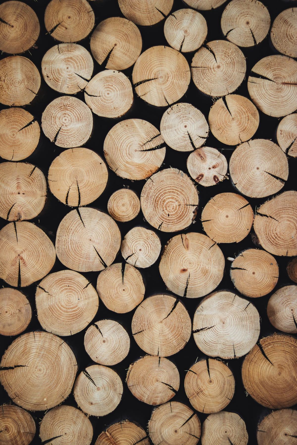 A stacked wall of cut log ends